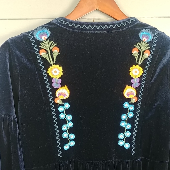 Zara Tasseled Tie Embroidered velvet dress - Picture 4 of 7